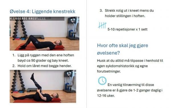 ISJIAS: Veien til smertelindring og et aktivt liv (eBok) - Bilde 3