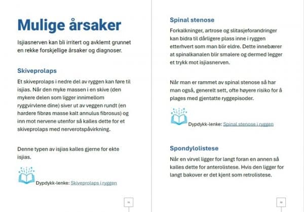 ISJIAS: Veien til smertelindring og et aktivt liv (eBok) - Bilde 4
