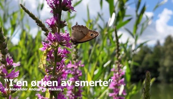 Alexander Andorff - I en Ørken av Smerte (mp3)