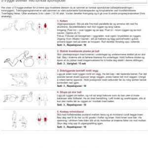 5 trygge øvelser ved lumbal spondylose (treningsprogram - PDF)