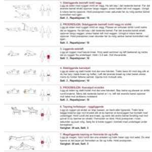 7 øvelser mot slitasje i kneet (treningsprogram - PDF)