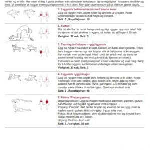 5 bevegelighetsøvelser for de med fibromyalgi (treningsprogram - PDF)